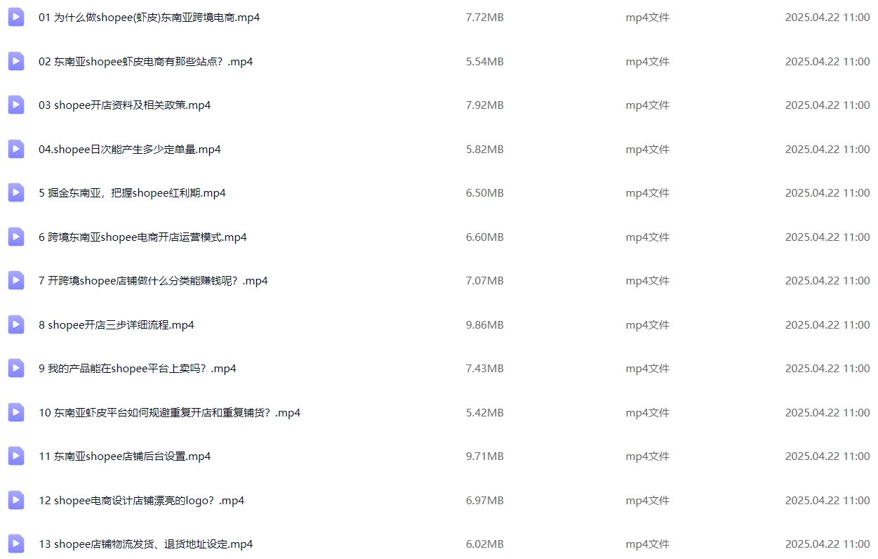 图片[2]-Shopee 跨境电商基础运营实操课：从开店准备到日常运营