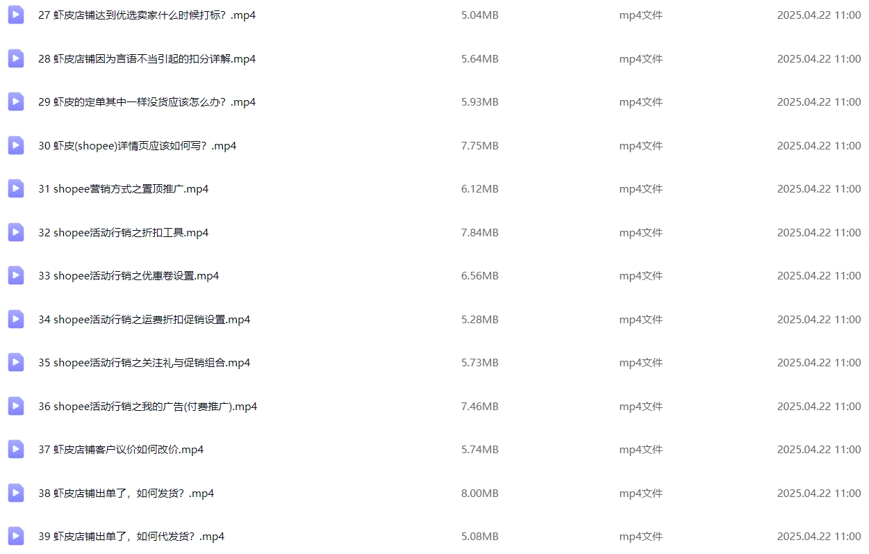 图片[4]-Shopee 跨境电商基础运营实操课：从开店准备到日常运营
