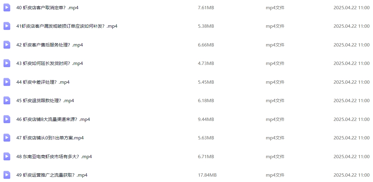 图片[5]-Shopee 跨境电商基础运营实操课：从开店准备到日常运营